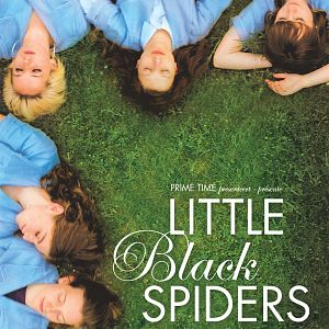Bilder Little black spiders