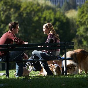 Bilder Falling Up - Liebe öffnet Türen