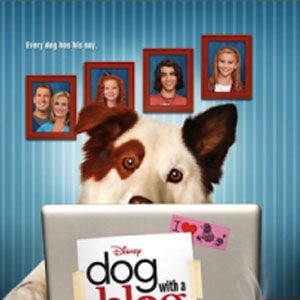 Bilder Hund mit Blog