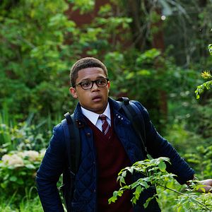 Bilder Wizards vs Aliens