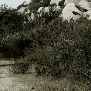 Bilder Here Comes the Devil