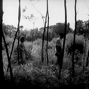 Bilder Frauen der Nacht