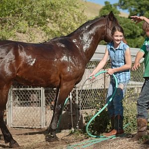 Bilder Sarah und Harley - Eine Freundschaft für immer