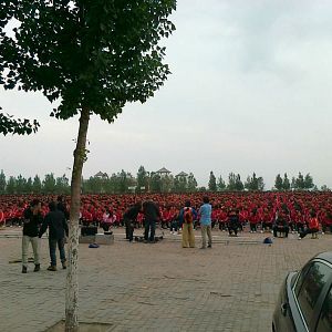 Bilder Drachenmädchen