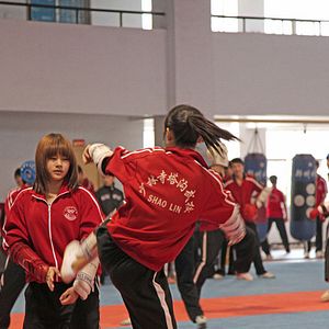 Bilder Drachenmädchen