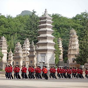 Bilder Drachenmädchen