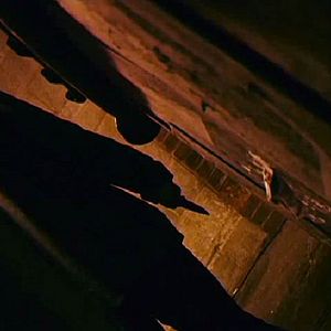 Bilder The Perfect Witness