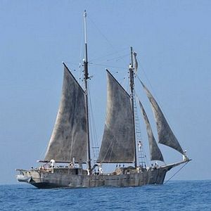 Bilder Die Männer der Emden