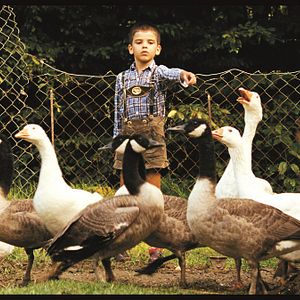 Bilder Quellen des Lebens