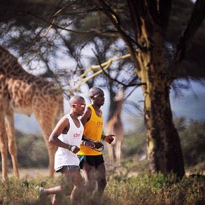 Bilder Gold - Du kannst mehr als Du denkst