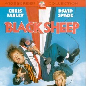 Bilder Black Sheep - Schwarzes Schaf mit weißer Weste