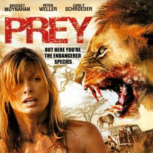 Bilder Darrell James Roodt