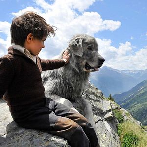 Bilder Belle & Sebastian