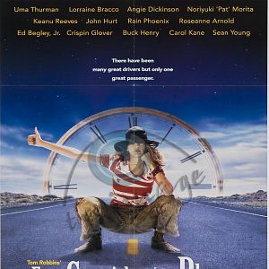 Bilder Cowgirl Blues