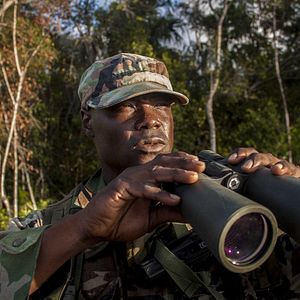 Bilder Jurassic Attack