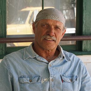 Bilder More than Honey