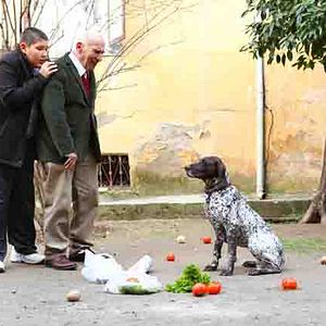 Bilder Glückliches Familienalbum