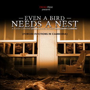 Bilder Even a bird needs a nest