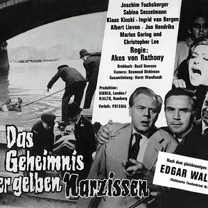 Bilder Das Geheimnis der gelben Narzissen