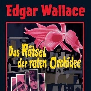 Bilder Das Geheimnis der roten Orchidee