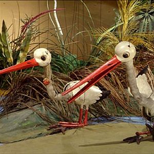 Bilder Puppenschau: Kalif Storch