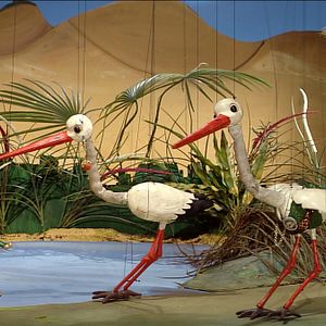 Bilder Puppenschau: Kalif Storch