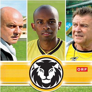 Bilder Der Schwarze Löwe