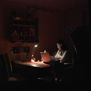 Bilder Rot sind die Füchse