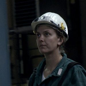 Bilder Rot sind die Füchse