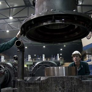 Bilder Rot sind die Füchse