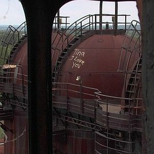 Bilder Rot sind die Füchse