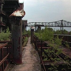 Bilder Rot sind die Füchse