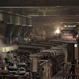 Bilder Rot sind die Füchse