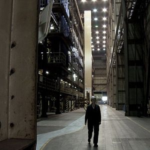 Bilder Rot sind die Füchse