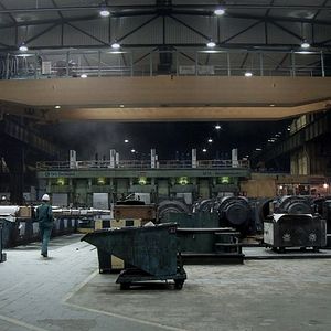 Bilder Rot sind die Füchse