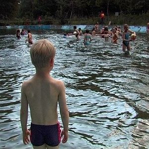 Bilder Rot sind die Füchse