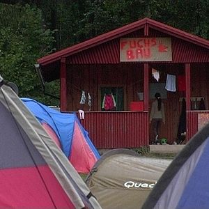 Bilder Rot sind die Füchse