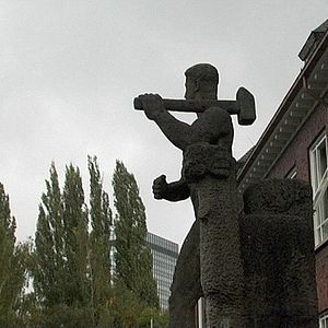 Bilder Rot sind die Füchse