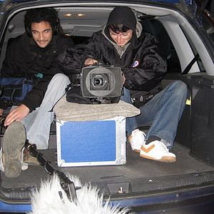 Bilder Rot sind die Füchse