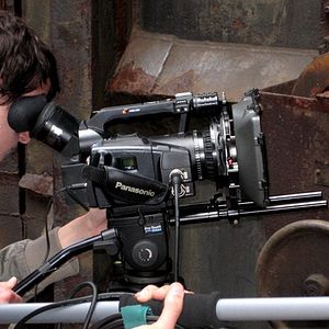 Bilder Rot sind die Füchse