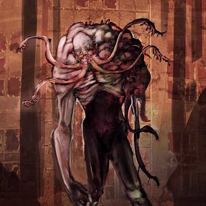 Bilder The Mulbury Project