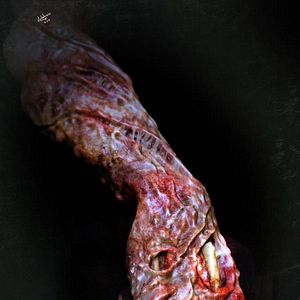 Bilder The Mulbury Project