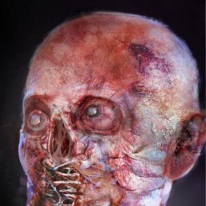 Bilder The Mulbury Project