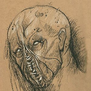 Bilder The Mulbury Project