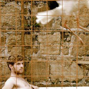 Bilder Le Vol des cigognes