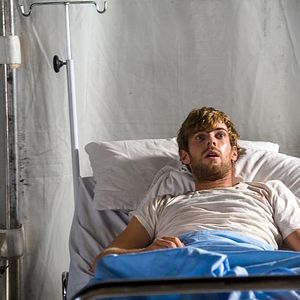 Bilder Le Vol des cigognes