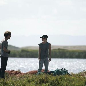 Bilder Le Vol des cigognes