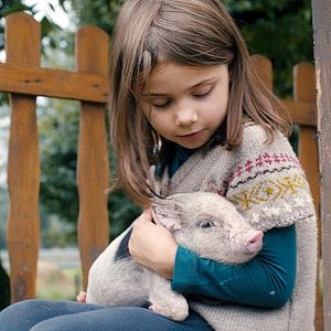 Bilder The Broken Circle