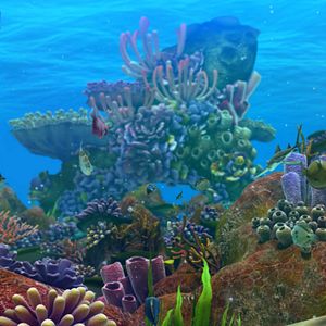 Bilder Happy Fish 2 - High-Alarm im Hochwasser