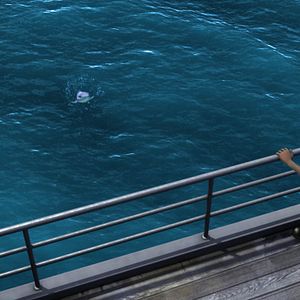 Bilder Happy Fish 2 - High-Alarm im Hochwasser